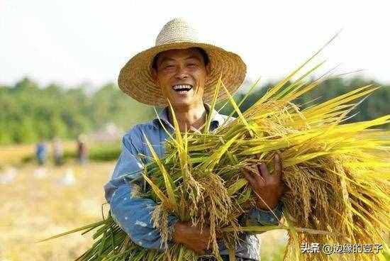 为何中国农业落后美国百年之久？农业人才的差距，如何才能弥补？