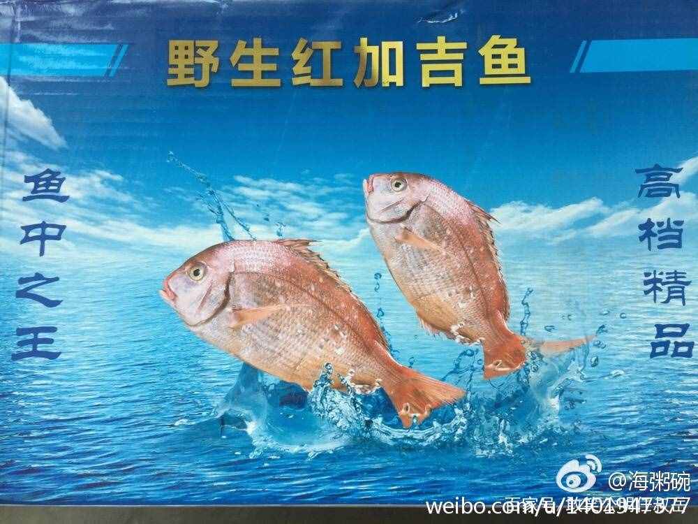 加吉鱼又叫做鲷鱼，是我国沿海的著名海产。它们是非常好吃的