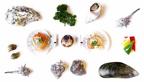 海鲜各种贝类，文蛤、牡蛎、竹蛏、毛蚶……你都了解了吗