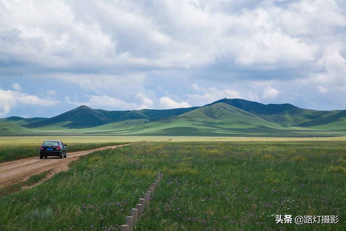 中国最令人心动的4大草原，春天开始复苏，即将铺成最绮丽的油画