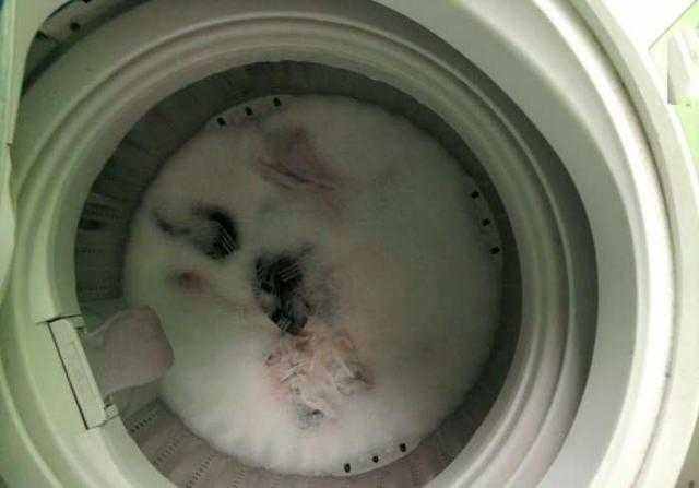 差点就拆掉我家全自动洗衣机，这才知道不脱水的原因是它！尴尬