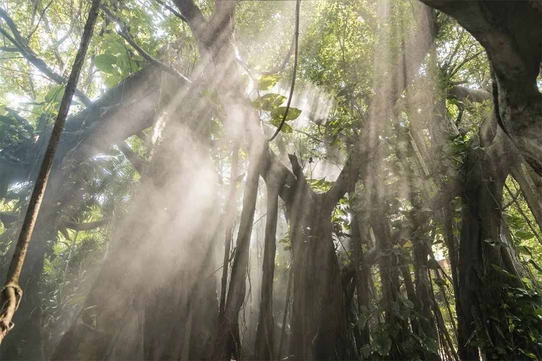 我们在深圳玩足了一整年，为你整理了这些好去处