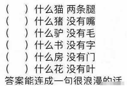 什么猫，两条腿？什么猪，没有嘴？