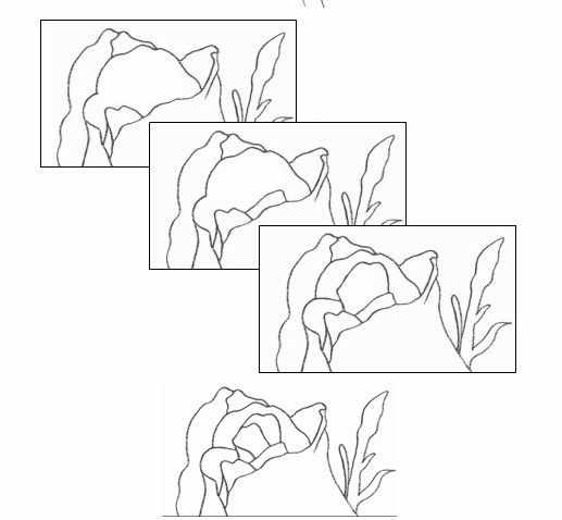 初学者：教你如何画一朵玫瑰花