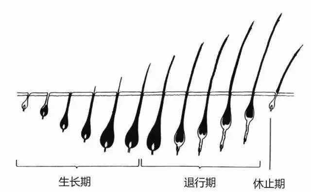 脱毛怎么都做不对？那是你选错了方法