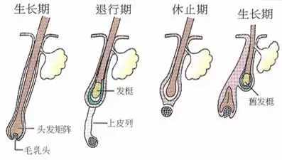 脱毛怎么都做不对？那是你选错了方法