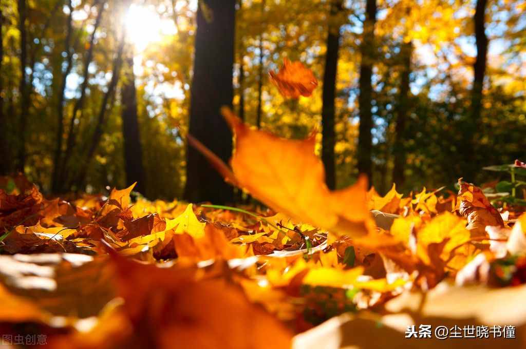 叶绍翁另一首经典七绝《夜书所见》，通篇意境凄美，同样入选课本