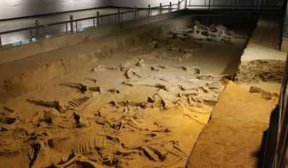 西安郊区挖出古砖残片：专家认为是帝王级大墓，极可能是周文王墓