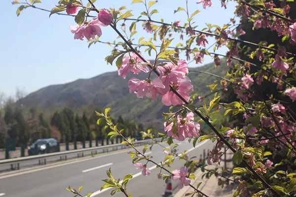 京承高速迎来了全线贯通十周年（京承高速地图）