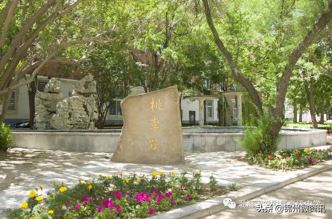 锦州渤海大学附中、育明、艺高2020年招生计划