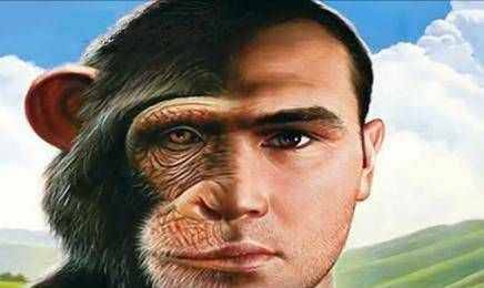 疯狂科学家为寻找人类起源，让5名女性和黑猩猩杂交，结果悲剧了