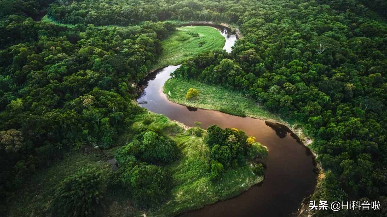 亚马逊河有多可怕？为什么没有一座桥能跨过它，甚至无人敢下水？