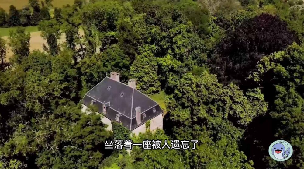 美国森林废弃38年的城堡，一位中国女性来到这里，孤独的生活