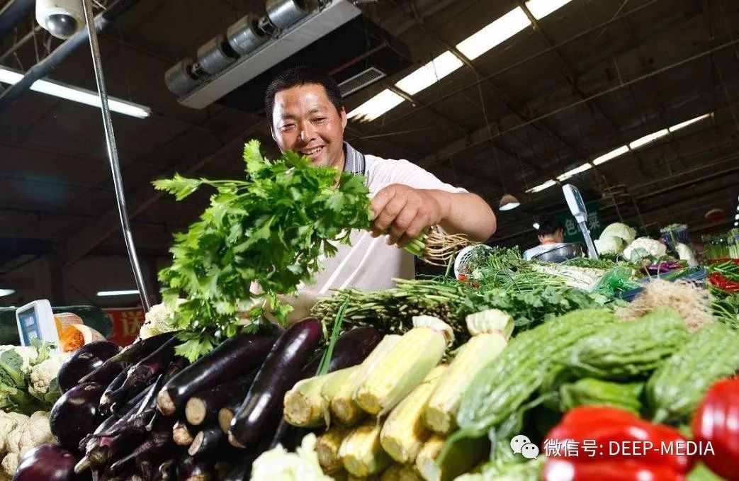 可有放心菜？健康的菜篮子，承载一个小家最平凡的幸福