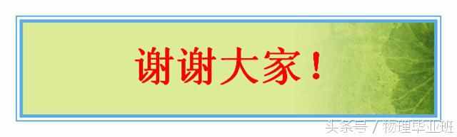 中学物理单元复习——《透镜及其应用》（精品课件！）