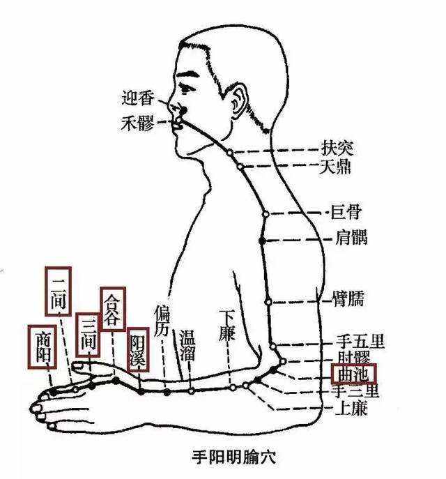 白话解读“十四正经”的循行路线