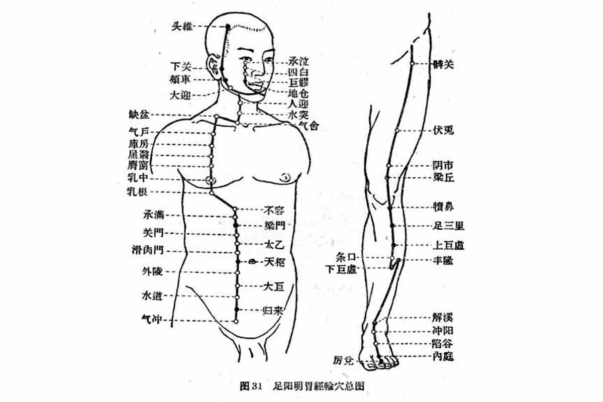 白话解读“十四正经”的循行路线