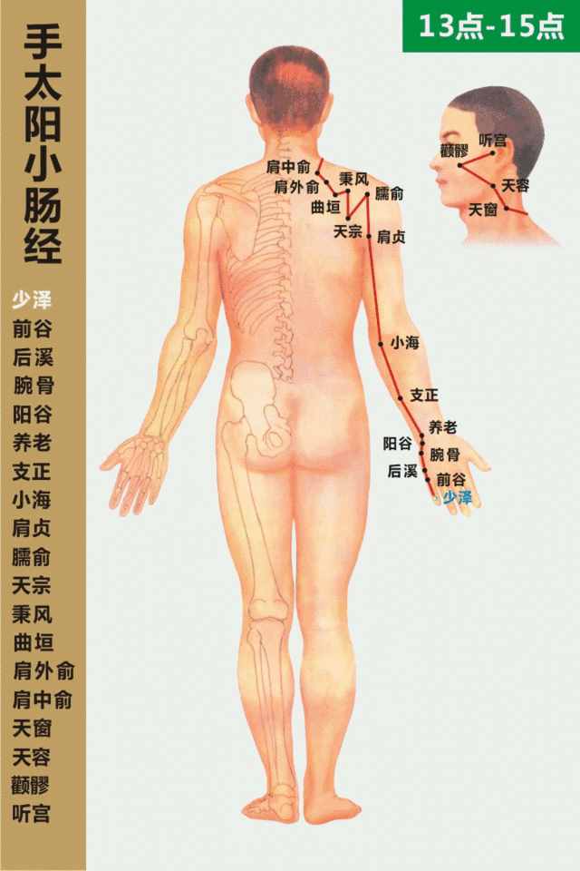 白话解读“十四正经”的循行路线