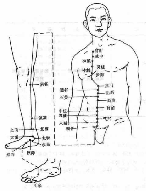 白话解读“十四正经”的循行路线