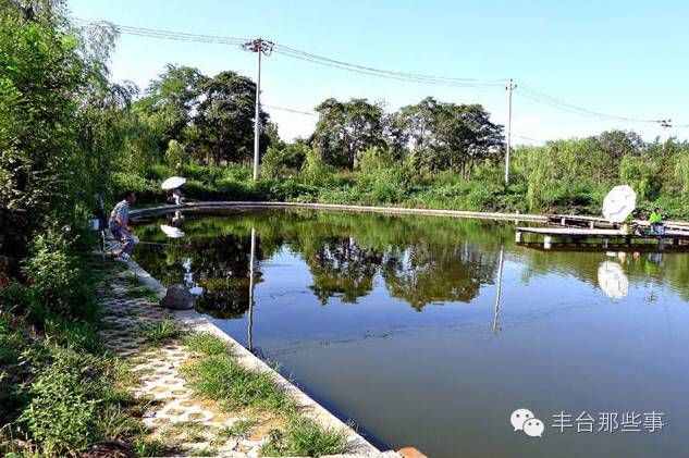 丰台家门口这些公园，统统免费！