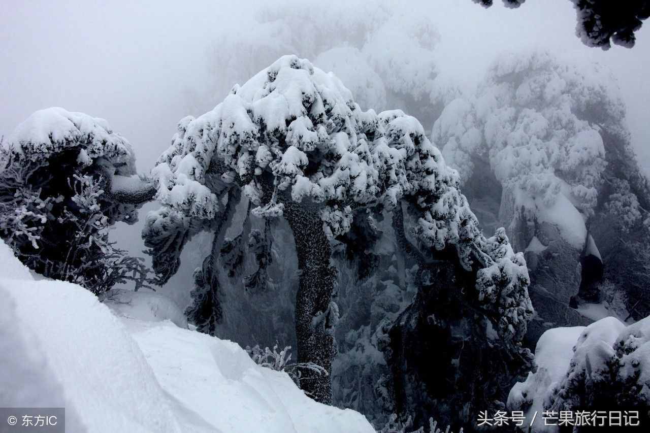 黄山有多美，旅行大神徐霞客说：五岳归来不看山，黄山归来不看岳