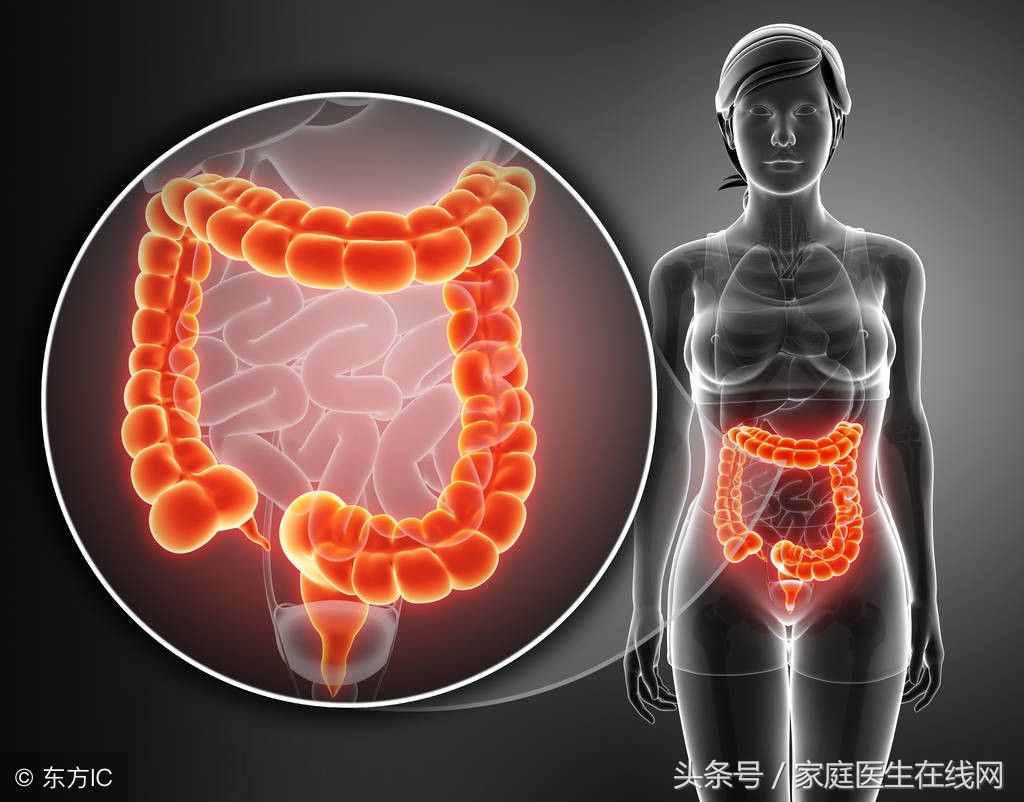 胃肠道不好怎么办？这4种食物，帮你“修补”好胃肠道