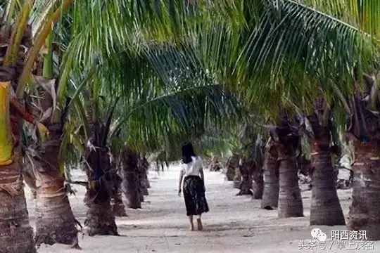 阳西大树岛，碧海蓝天也可以让你忘记夏季的炎热