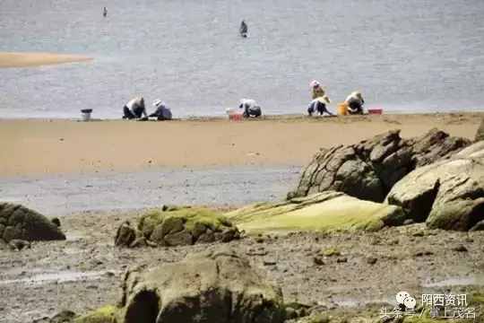 阳西大树岛，碧海蓝天也可以让你忘记夏季的炎热