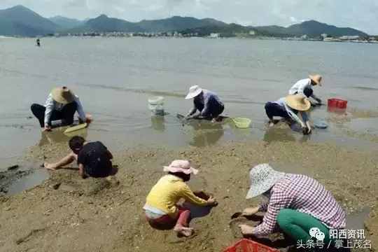 阳西大树岛，碧海蓝天也可以让你忘记夏季的炎热