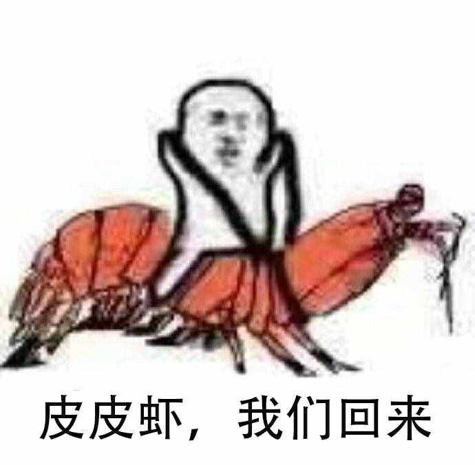 皮皮虾，我们走～系列表情包