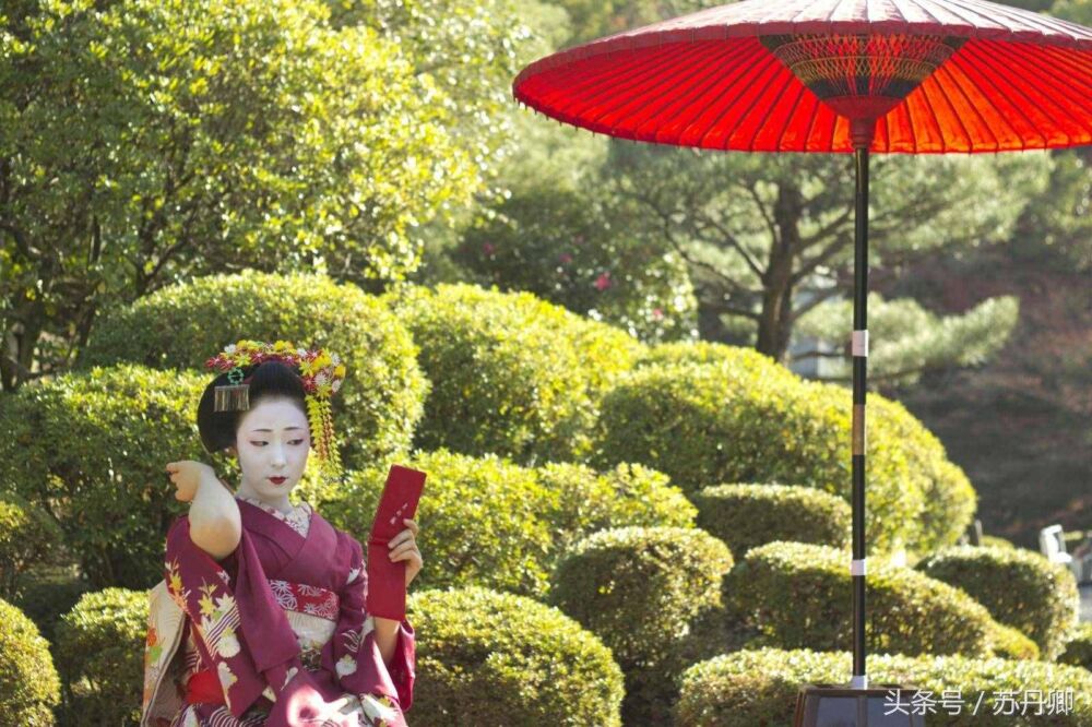 颇具争议的艺妓：在日本地位崇高，中国人认为只是风月场所