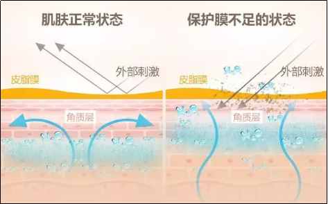 你真的认识你的皮肤吗？皮肤的专业知识