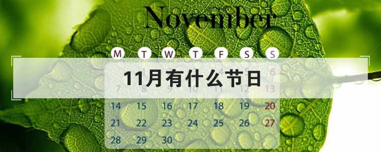 11月有什么节日