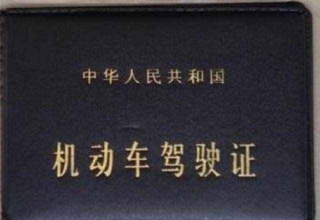 考驾照最新色彩检测，五个盘子都能看出来吗？老司机也可以再试试