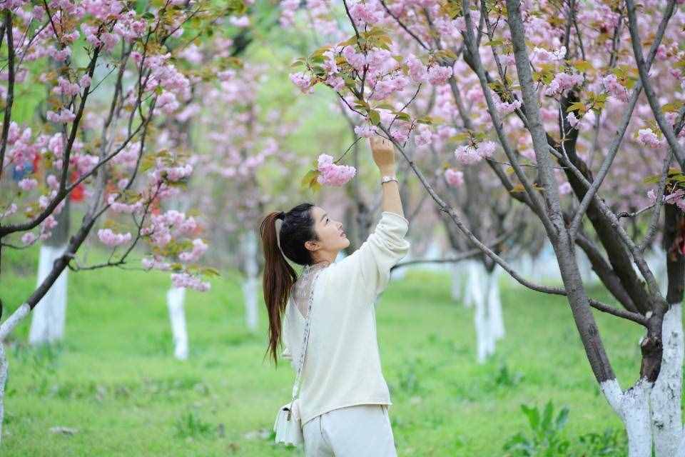 芳菲四月的秦岭野生动物园，美景中的乐趣堪比我想要的“后花园”