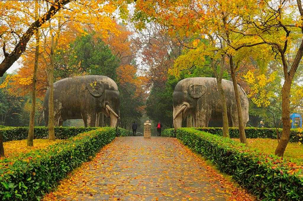南京旅游别总去夫子庙，这5个景点更值得一去，你都去过吗？
