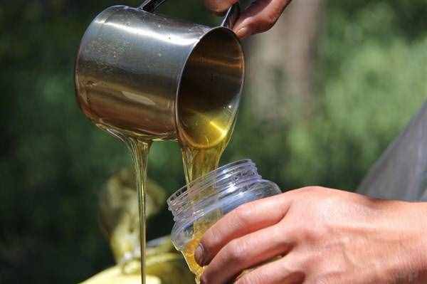 喝蜂蜜水容易胖吗？蜂蜜吃了会长胖吗？