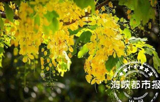 中秋节的由来故事简短100字 中秋节的起源中秋节的来历介绍