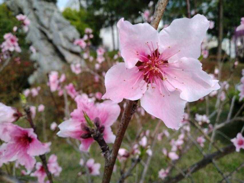 部编版七年级课后生字词汇总，学习必备！