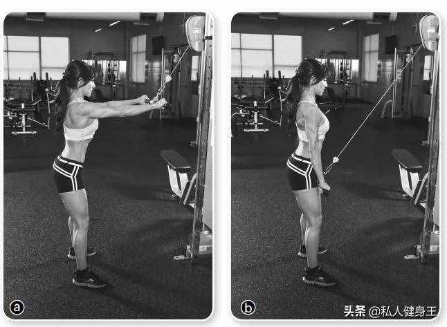 塑造强壮背部肌肉，三个背部训练动作，练好性感背部线条