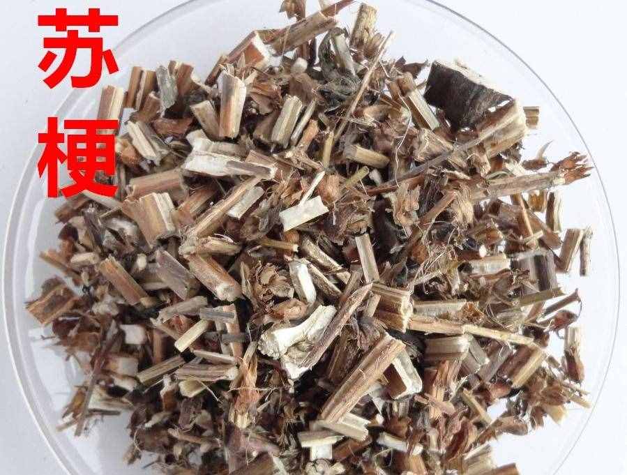 《本草精荟》：“三苏”的功效与应用