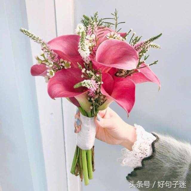 2018教师节给老师的一段话，句句都是真挚的祝福！