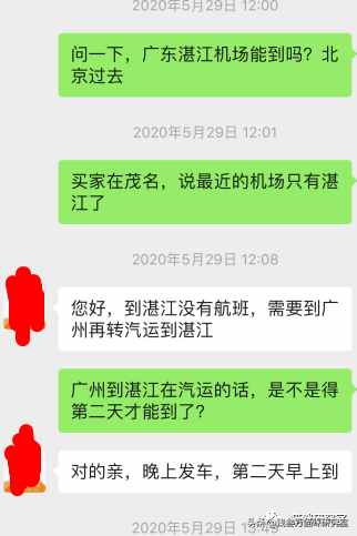 给大家介绍宠物托运的全过程，靠谱的宠物托运应该是怎么样的