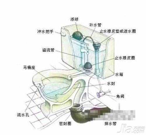 马桶堵塞原因分析（马桶结构）