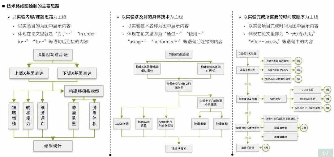 仅靠着一张图如何在组会上技惊四座《技术路线图绘制教程》免费领