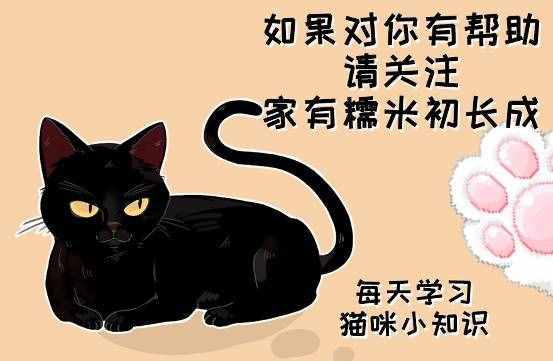 猫喜欢吃鱼，这是一个被误解了700多年的常识，并且可能致命