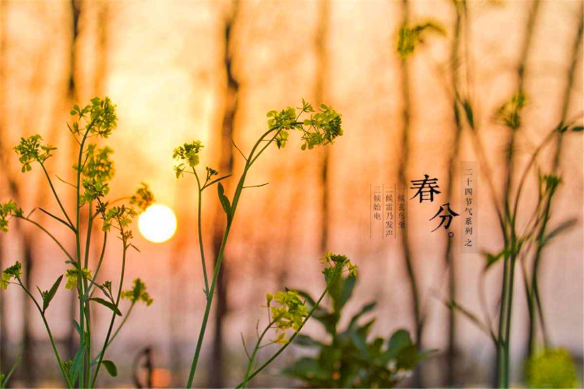 春分到了，4个老传统不能忘，寓意吉祥如意，现在知道还不晚