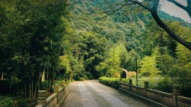 杭州周边游 适合徒步的原始森林公园 元代名家黄公望隐居地