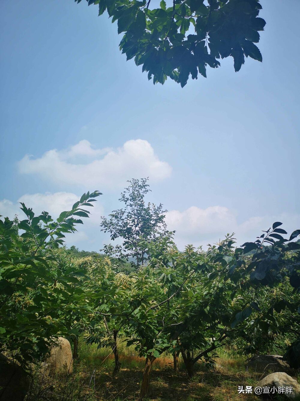 北京怀柔的鳞龙山自然风景区，奇峰怪石，满山果香