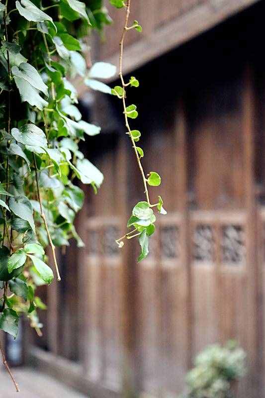 古风‖《李白诗词》十首（十一）